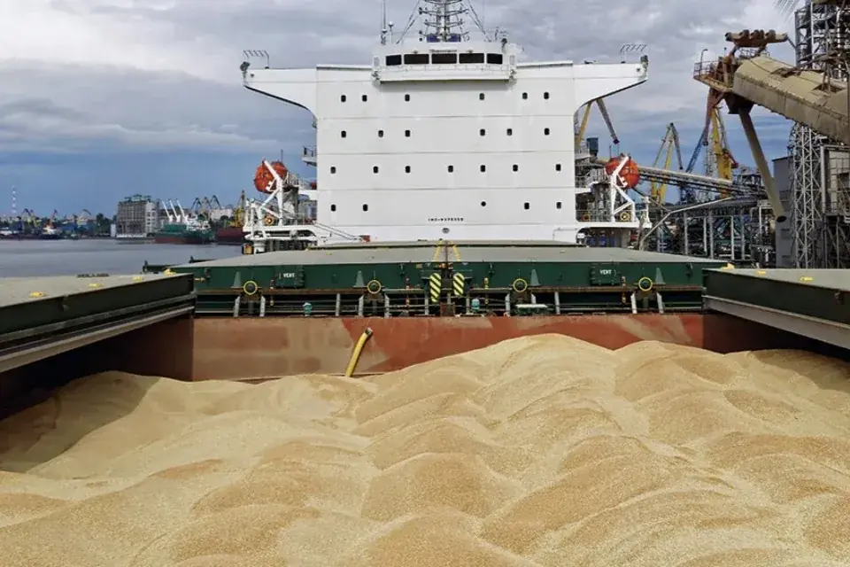 Grain loaded into the hold of a bulk carrier